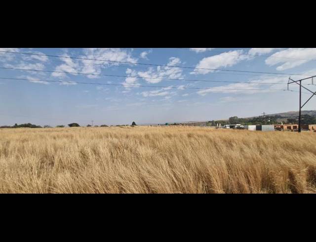 FARM FOR SALE IN LAEZONIA